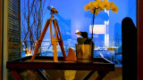 slider image